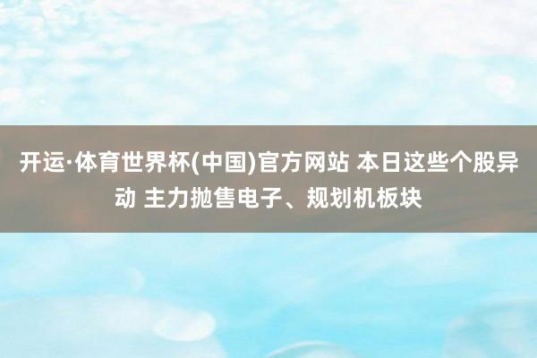 开运·体育世界杯(中国)官方网站 本日这些个股异动 主力抛售电子、规划机板块