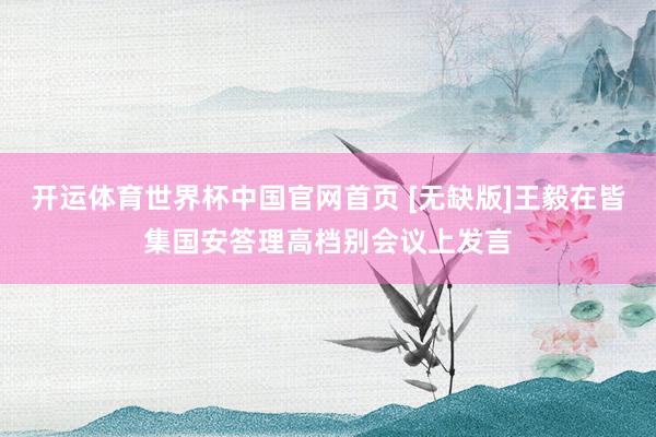 开运体育世界杯中国官网首页 [无缺版]王毅在皆集国安答理高档别会议上发言