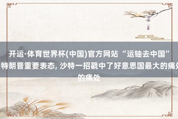 开运·体育世界杯(中国)官方网站 “运铀去中国”? 特朗普重要表态, 沙特一招戳中了好意思国最大的痛处