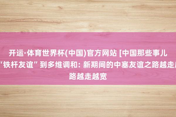 开运·体育世界杯(中国)官方网站 [中国那些事儿]从“铁杆友谊”到多维调和: 新期间的中塞友谊之路越走越宽
