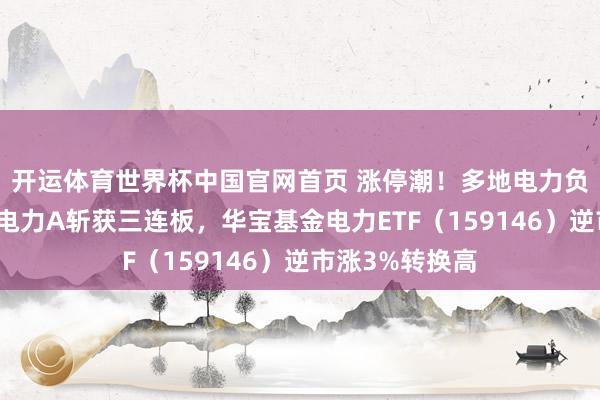 开运体育世界杯中国官网首页 涨停潮！多地电力负荷转换高，粤电力A斩获三连板，华宝基金电力ETF（159146）逆市涨3%转换高