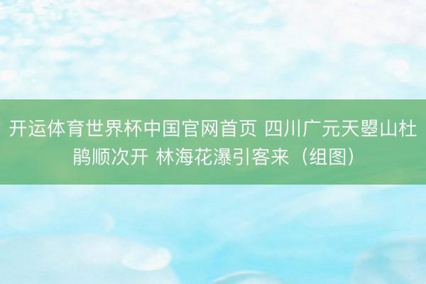 开运体育世界杯中国官网首页 四川广元天曌山杜鹃顺次开 林海花瀑引客来（组图）