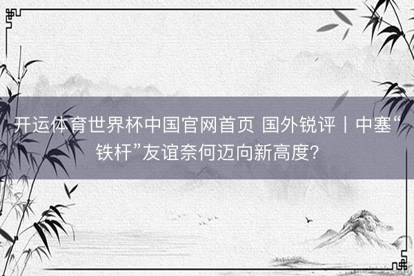 开运体育世界杯中国官网首页 国外锐评丨中塞“铁杆”友谊奈何迈向新高度？
